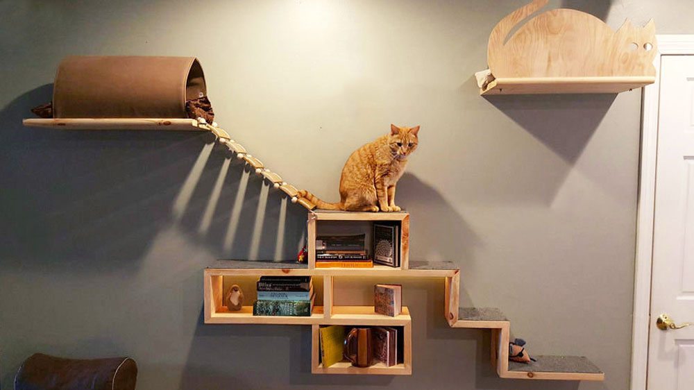 cat towers